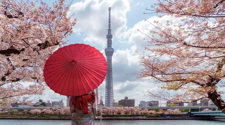 Tokyo Osaka and Kyoto