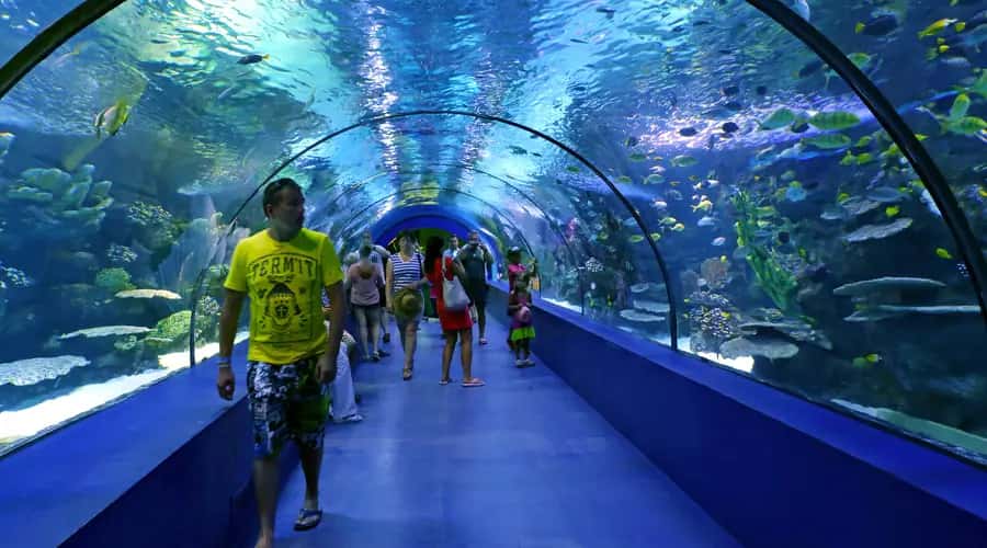 Antalya All Inclusive