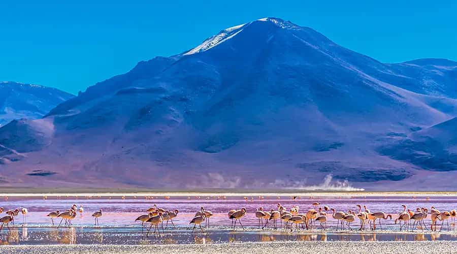 South America 4 in 1