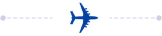 Plane Icon