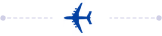Plane Icon