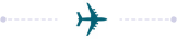 Plane Icon