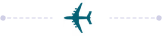 Plane Icon