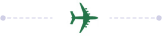 Plane Icon