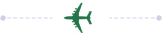 Plane Icon